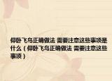 仰臥飛鳥正確做法 需要注意這些事項(xiàng)是什么（仰臥飛鳥正確做法 需要注意這些事項(xiàng)）