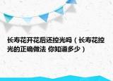 長壽花開花后還控光嗎（長壽花控光的正確做法 你知道多少）
