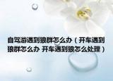 自駕游遇到狼群怎么辦（開(kāi)車(chē)遇到狼群怎么辦 開(kāi)車(chē)遇到狼怎么處理）