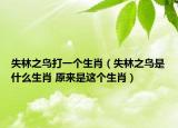 失林之鳥打一個生肖（失林之鳥是什么生肖 原來是這個生肖）