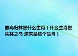 放鳥歸林是什么生肖（什么生肖是失林之鳥 原來是這個生肖）
