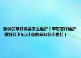 新種的草缸需要怎么維護（草缸怎樣維護 做好以下5點讓你的草缸狀態(tài)更佳）