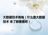 大數(shù)據(jù)技術(shù)有啥（什么是大數(shù)據(jù)技術(shù) 來了解看看吧）