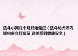 法斗小狗幾個(gè)月開始驅(qū)蟲（法斗幼犬體內(nèi)驅(qū)蟲多久打疫苗 這關(guān)系到健康安全）