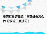 皇冠魟魚好養(yǎng)嗎（皇冠虹魚怎么養(yǎng) 分享這三點技巧）