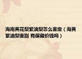海南黃花梨紫油梨怎么鑒定（海黃紫油梨鑒別 有保藏價錢嗎）