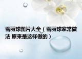 雪麗球圖片大全（雪麗球家常做法 原來是這樣做的）