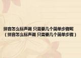 拼音怎么標(biāo)聲調(diào) 只需要幾個(gè)簡單步驟呢（拼音怎么標(biāo)聲調(diào) 只需要幾個(gè)簡單步驟）