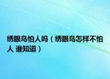 繡眼鳥(niǎo)怕人嗎（繡眼鳥(niǎo)怎樣不怕人 誰(shuí)知道）