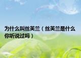 為什么叫絲芙蘭（絲芙蘭是什么 你聽說過嗎）