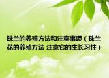 珠蘭的養(yǎng)殖方法和注意事項（珠蘭花的養(yǎng)殖方法 注意它的生長習(xí)性）