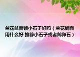 蘭花盆面鋪小石子好嗎（蘭花鋪面用什么好 推薦小石子或者鵝卵石）
