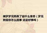 做夢(mèng)夢(mèng)見狗丟了是什么意思（夢(mèng)見狗留你怎么回事 這是好事嗎）