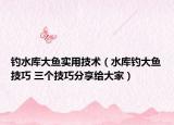 釣水庫大魚實(shí)用技術(shù)（水庫釣大魚技巧 三個(gè)技巧分享給大家）