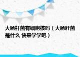 大腸桿菌有細(xì)胞核嗎（大腸肝菌是什么 快來學(xué)學(xué)吧）