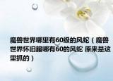 魔獸世界哪里有60級的風蛇（魔獸世界懷舊服哪有60的風蛇 原來是這里抓的）