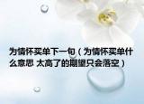 為情懷買單下一句（為情懷買單什么意思 太高了的期望只會落空）