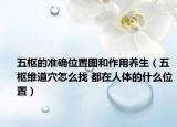 五樞的準(zhǔn)確位置圖和作用養(yǎng)生（五樞維道穴怎么找 都在人體的什么位置）