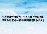 小人給領(lǐng)導(dǎo)打報(bào)告（小人在領(lǐng)導(dǎo)面前說壞話怎么辦 有小人在領(lǐng)導(dǎo)面前打我小報(bào)告）