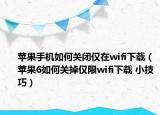 蘋果手機如何關(guān)閉僅在wifi下載（蘋果6如何關(guān)掉僅限wifi下載 小技巧）