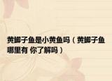 黃鯽子魚是小黃魚嗎（黃鯽子魚哪里有 你了解嗎）