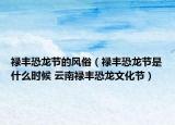 祿豐恐龍節(jié)的風(fēng)俗（祿豐恐龍節(jié)是什么時候 云南祿豐恐龍文化節(jié)）