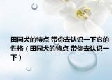 田園犬的特點(diǎn) 帶你去認(rèn)識一下它的性格（田園犬的特點(diǎn) 帶你去認(rèn)識一下）