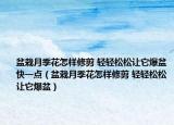 盆栽月季花怎樣修剪 輕輕松松讓它爆盆快一點(diǎn)（盆栽月季花怎樣修剪 輕輕松松讓它爆盆）