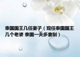 泰國(guó)國(guó)王幾任妻子（現(xiàn)任泰國(guó)國(guó)王幾個(gè)老婆 泰國(guó)一夫多妻制）