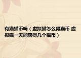 有貓貓幣嗎（虛擬貓怎么得貓幣 虛擬貓一天能獲得幾個貓幣）