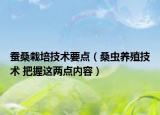 蠶桑栽培技術(shù)要點（桑蟲養(yǎng)殖技術(shù) 把握這兩點內(nèi)容）