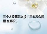 三個人投票怎么投（三農(nóng)怎么投票 在哪投）