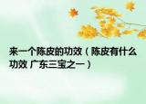 來(lái)一個(gè)陳皮的功效（陳皮有什么功效 廣東三寶之一）