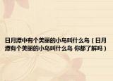 日月潭中有個美麗的小島叫什么島（日月潭有個美麗的小島叫什么島 你都了解嗎）