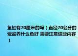 魚(yú)缸有70厘米的嗎（直徑70公分的瓷盆養(yǎng)什么魚(yú)好 需要注意這些內(nèi)容）