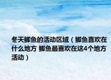 冬天鯽魚的活動區(qū)域（鯽魚喜歡在什么地方 鯽魚最喜歡在這4個地方活動）