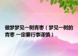 做夢(mèng)夢(mèng)見(jiàn)一樹(shù)青棗（夢(mèng)見(jiàn)一樹(shù)的青棗 一定要行事謹(jǐn)慎）