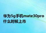 華為5g手機mate30pro什么時候上市
