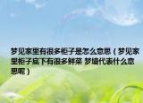 夢見家里有很多柜子是怎么意思（夢見家里柜子底下有很多鮮菜 夢境代表什么意思呢）