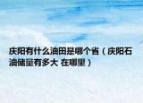 慶陽有什么油田是哪個(gè)?。☉c陽石油儲量有多大 在哪里）