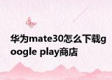 華為mate30怎么下載google play商店