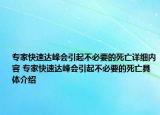 專家快速達(dá)峰會引起不必要的死亡詳細(xì)內(nèi)容 專家快速達(dá)峰會引起不必要的死亡具體介紹