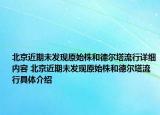 北京近期未發(fā)現(xiàn)原始株和德爾塔流行詳細(xì)內(nèi)容 北京近期未發(fā)現(xiàn)原始株和德爾塔流行具體介紹