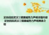 足協(xié)回應(yīng)武漢三鎮(zhèn)黑暗勢力聲明詳細(xì)內(nèi)容 足協(xié)回應(yīng)武漢三鎮(zhèn)黑暗勢力聲明具體介紹