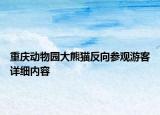 重慶動物園大熊貓反向參觀游客詳細(xì)內(nèi)容