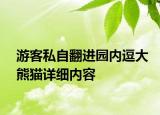 游客私自翻進園內逗大熊貓詳細內容