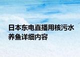 日本東電直播用核污水養(yǎng)魚詳細內容