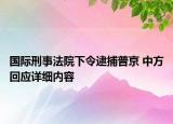 國際刑事法院下令逮捕普京 中方回應(yīng)詳細(xì)內(nèi)容