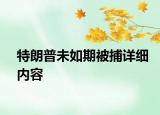 特朗普未如期被捕詳細(xì)內(nèi)容