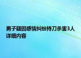 男子疑因感情糾紛持刀殺害3人詳細(xì)內(nèi)容